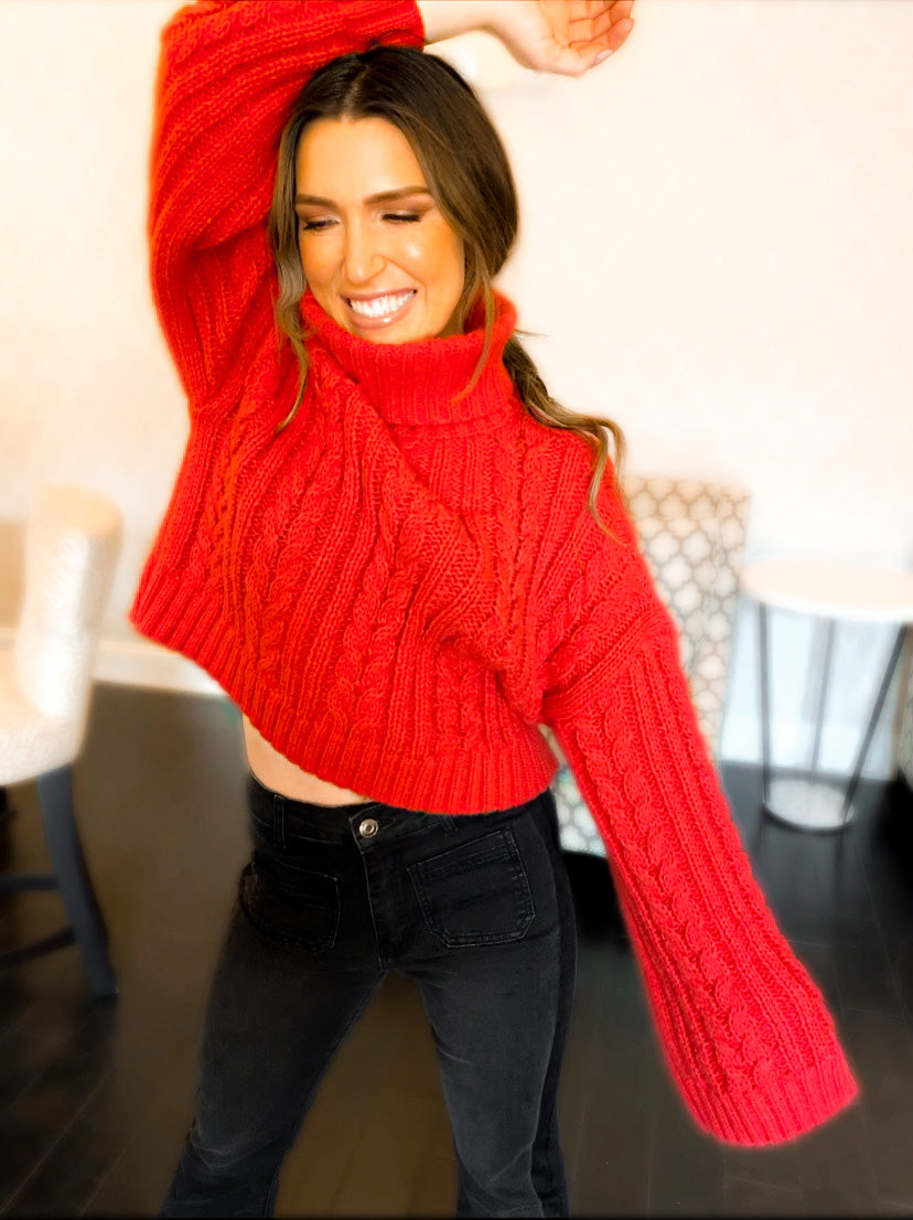 Cici Cropped Turtleneck Sweater